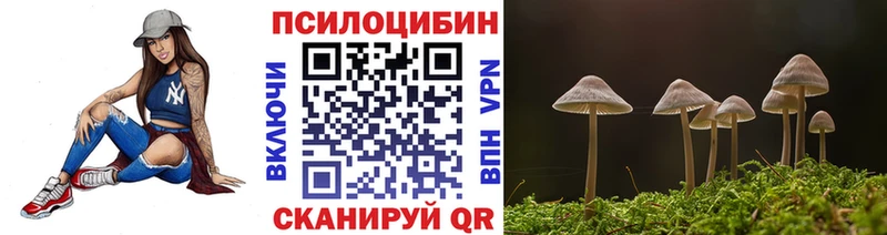 Купить  Рыбное  Псилоцибиновые грибы MAGIC MUSHROOMS 