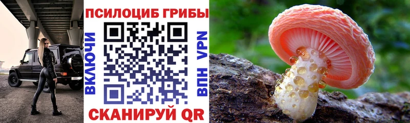 Галлюциногенные грибы Cubensis Рыбное